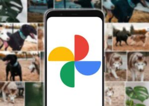 Come scaricare tutte le tue foto da Google Foto