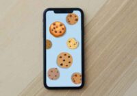 abilitare i cookie su iPhone
